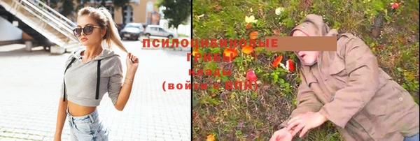 MDMA Верхний Тагил