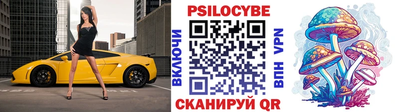 наркошоп МЕГА ссылка Галлюциногенные грибы Psilocybe Красноярск
